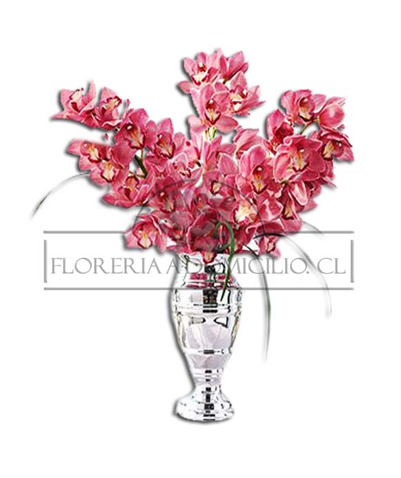 6 Orquidea en Florero Premium